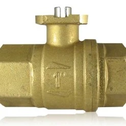 WaterCop Lead Free Brass Water Valve